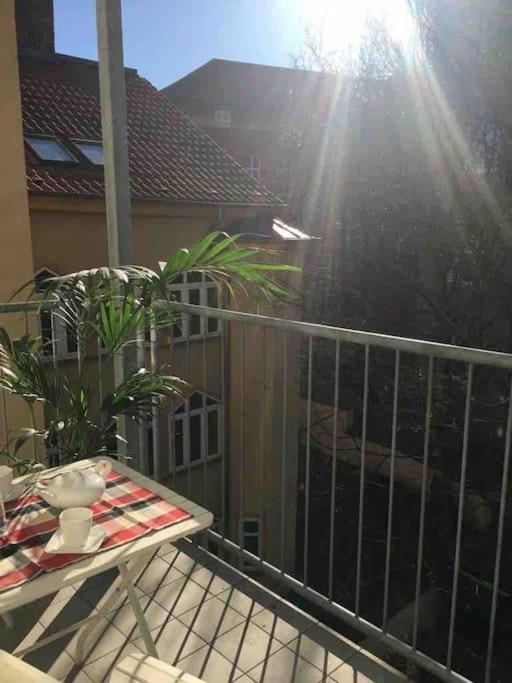 Komfortables Appartement Zentral Gelegen Erfurt Eksteriør billede
